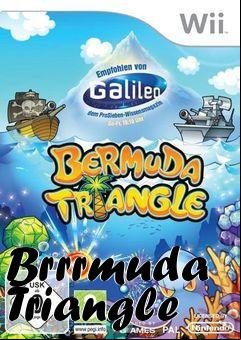 Box art for Brrrmuda Triangle
