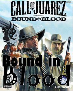 Box art for Call of Juarez: Bound in Blood