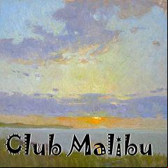 Box art for Club Malibu