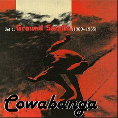 Box art for Cowabanga