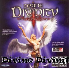 Box art for Divine Divinity