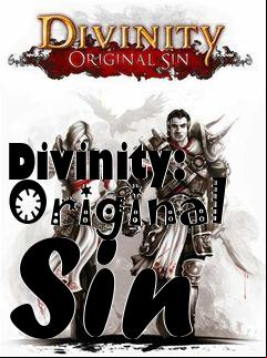 Box art for Divinity: Original Sin