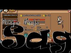Box art for Dragon Ninja Saga