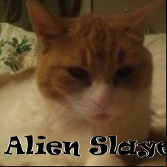 Box art for Alien Slayer