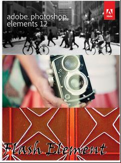 Box art for Flash Element