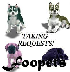 Box art for Foopets