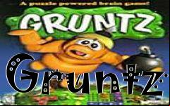 Box art for Gruntz