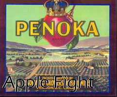 Box art for Apple Fight