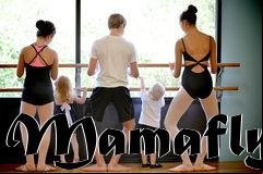 Box art for Mamafly