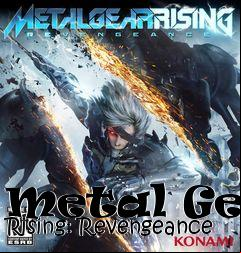 Box art for Metal Gear Rising: Revengeance
