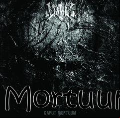 Box art for Mortuum