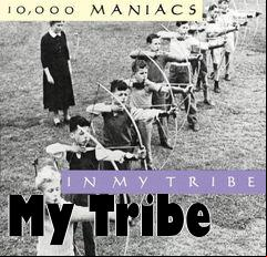 Box art for My Tribe