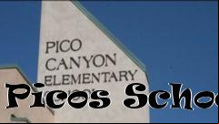 Box art for Picos School