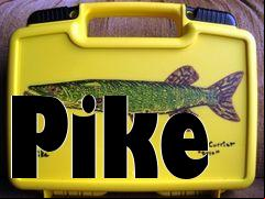 Box art for Pike