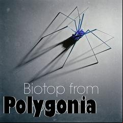 Box art for Polygonia