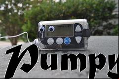 Box art for Pumpy