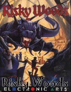 Box art for Risky Woods