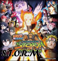 Box art for S.T.O.R.M.