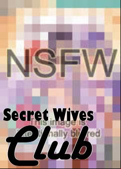Box art for Secret Wives Club