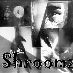 Box art for Shroomz