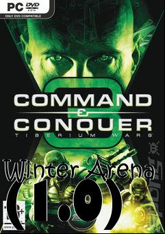 Box art for Winter Arena (1.0)