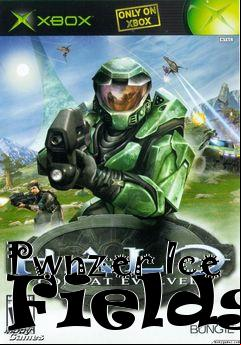 Box art for Pwnzer Ice Fields