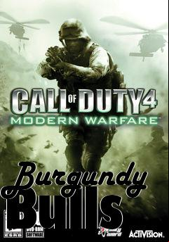 Box art for Burgundy Bulls