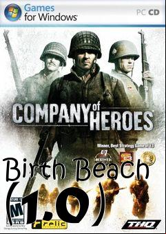 Box art for Birth Beach (1.0)