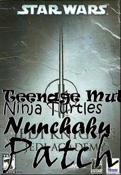 Box art for Teenage Mutant Ninja Turtles Nunchaku Patch