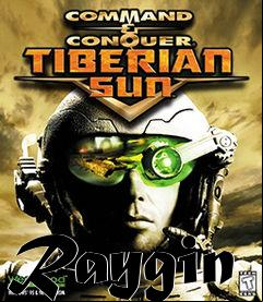 Box art for Raygin