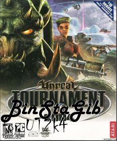 Box art for BinStaGib for UT2k4