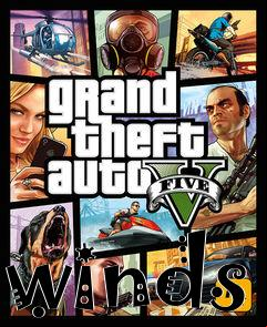 Box art for winds