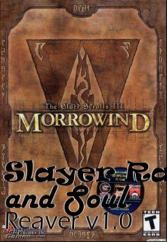 Box art for Slayer Race and Soul Reaver v1.0