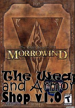 Box art for The Weapon and Armor Shop v1.0
