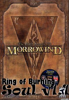 Box art for Ring of Burning Soul v1.1