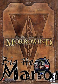 Box art for Big Heads Manor