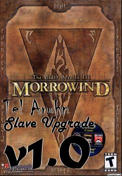 Box art for Tel Aruhn Slave Upgrade v1.0