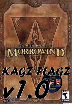 Box art for KAGZ FLAGZ v1.0