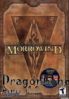 Box art for Dragonbone Armor v1.2