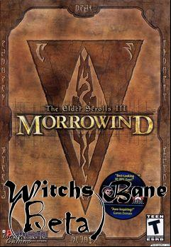 Box art for Witchs Bane (Beta)