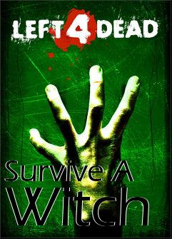 Box art for Survive A Witch
