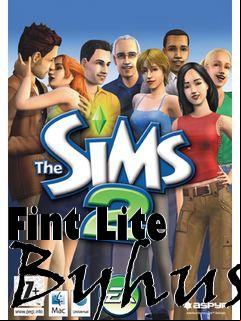 Box art for Fint Lite Byhus