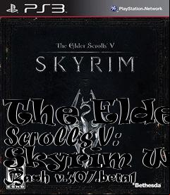 Box art for The Elder Scrolls V: Skyrim Wrye Bash v.307.beta1
