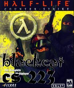 Box art for blackcat cs 223