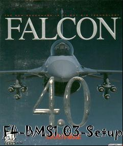 Box art for F4-BMS1.03-Setup