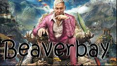Box art for Beaverbay
