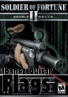Box art for Ibanez Guitar Flags