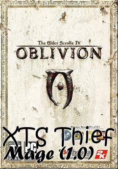 Box art for XTS Thief Mage (1.0)