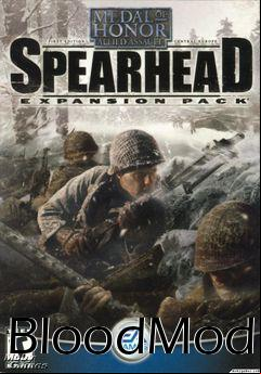 Box art for BloodMod