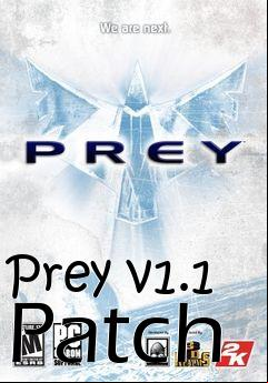 Box art for Prey v1.1 Patch